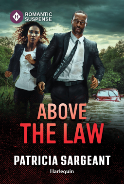 book cover for Above the Law