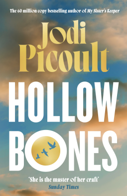book cover for Hollow Bones