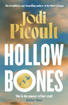 book cover for Hollow Bones