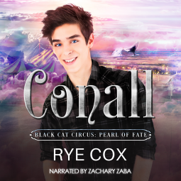 book cover for Conall