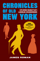 book cover for Chronicles of Old New York