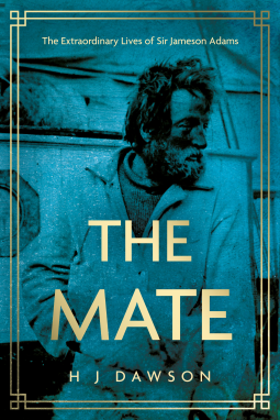 book cover for The Mate