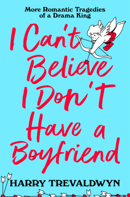 book cover for I Can't Believe I Don't Have a Boyfriend