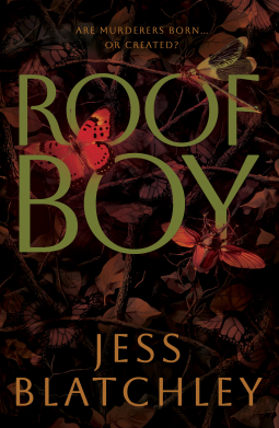 book cover for Roofboy