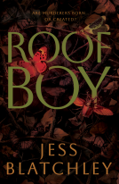 book cover for Roofboy