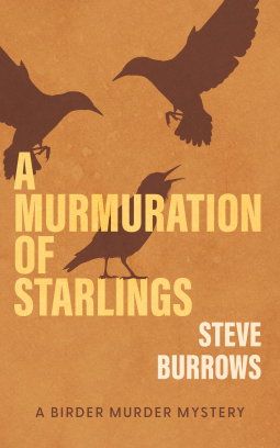 book cover for A Murmuration of Starlings