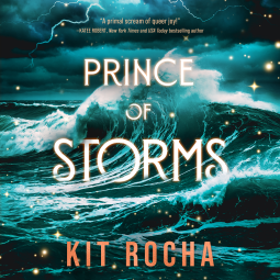 book cover for Prince of Storms
