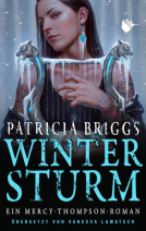 Buchcover für Wintersturm
