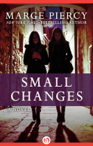 book cover for Small Changes