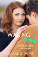 book cover for Waking Amy