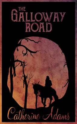 book cover for The Galloway Road