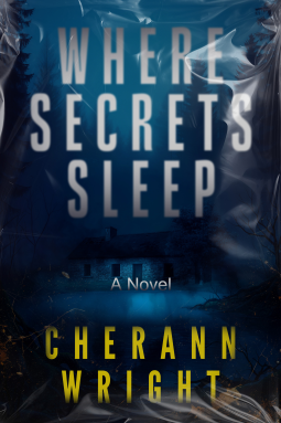 book cover for Where Secrets Sleep