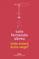 book cover for Onde andará Dulce Veiga?