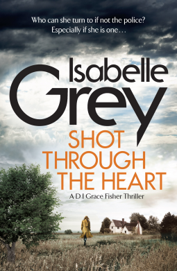 book cover for Shot Through The Heart