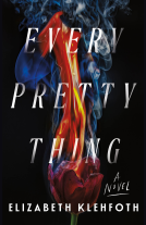 book cover for Every Pretty Thing