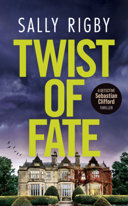book cover for Twist of Fate