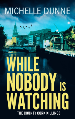 book cover for While Nobody is Watching