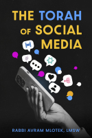 book cover for The Torah of Social Media