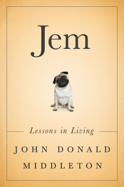 book cover for Jem