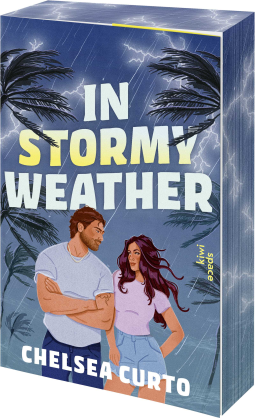 Buchcover für In Stormy Weather