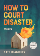book cover for How to Court Disaster