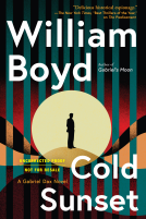 book cover for Cold Sunset