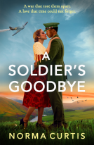 book cover for A Soldier's Goodbye