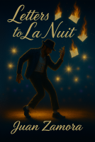 book cover for Letters to La Nuit
