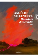 Couverture du livre pour Des idées d'incendie