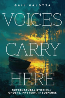 book cover for Voices Carry Here