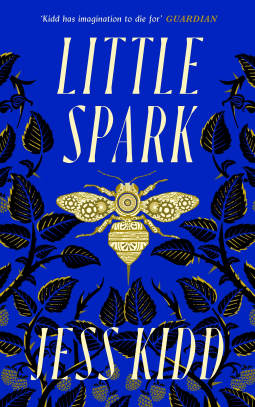 book cover for Little Spark