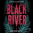 book cover for Black River