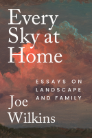 book cover for Every Sky at Home