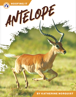 book cover for Antelope