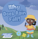book cover for Why Does Rain Fall?
