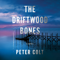 book cover for The Driftwood Bones