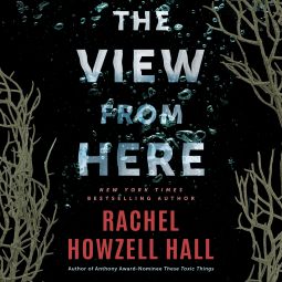 book cover for The View from Here