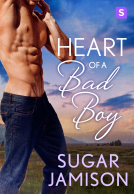book cover for Heart of a Bad Boy