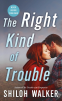 Cover Image: The Right Kind of Trouble