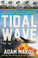 book cover for Tidal Wave