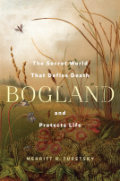 book cover for Bogland