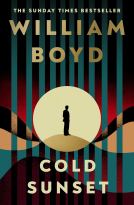 book cover for Cold Sunset