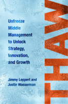 book cover for Thaw