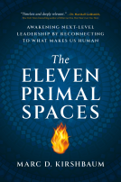 book cover for The Eleven Primal Spaces
