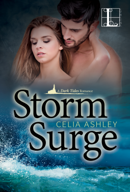 book cover for Storm Surge