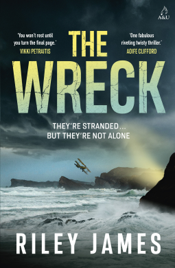 book cover for The Wreck