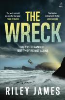 book cover for The Wreck