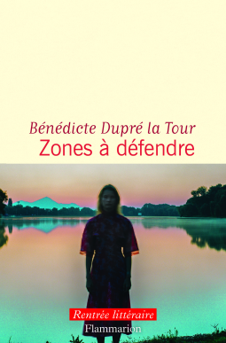 Couverture du livre pour Zones à défendre
