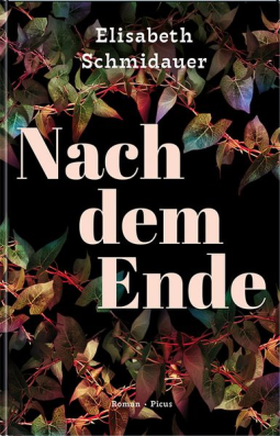 Buchcover für Nach dem Ende