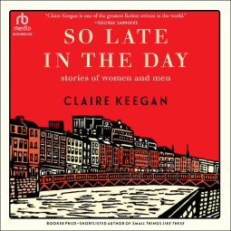 book cover for So Late in the Day